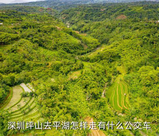 深圳坪山去平湖怎樣走有什么公交車