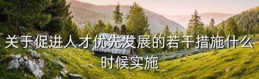 關于促進人才優先發展的若干措施什么時候實施
