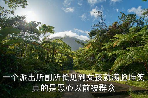 深圳蓮花派出所副所長，派出所副所長經商屬于違法