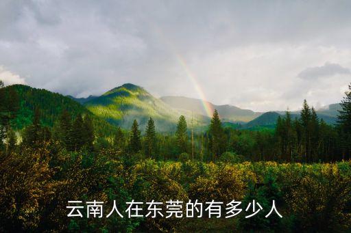 云南人在東莞的有多少人