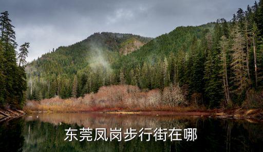 隨拍東莞鳳崗商業街，東莞鳳崗步行街在哪