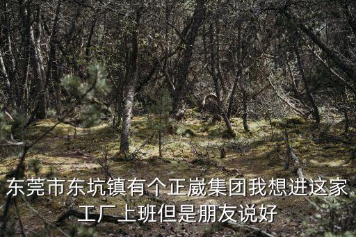 東莞市東坑鎮有個正崴集團我想進這家工廠上班但是朋友說好