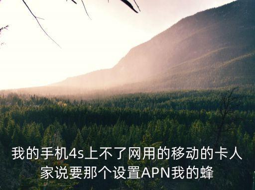 東莞馬蜂窩視頻，我的手機4s上不了網用的移動的卡人家說要那個設置APN我的蜂