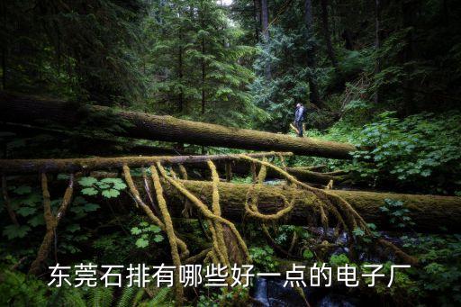 東莞石排有哪些好一點的電子廠