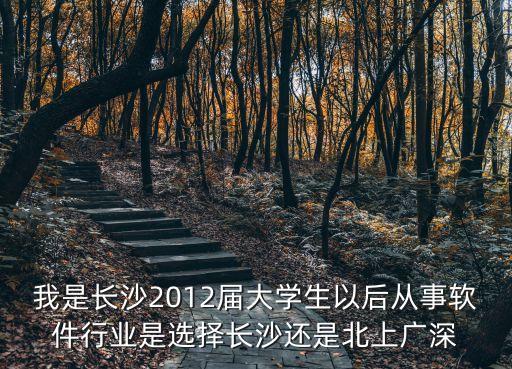 東莞村干部配置，我是長沙2012屆大學(xué)生以后從事軟件行業(yè)是選擇長沙還是北上廣深