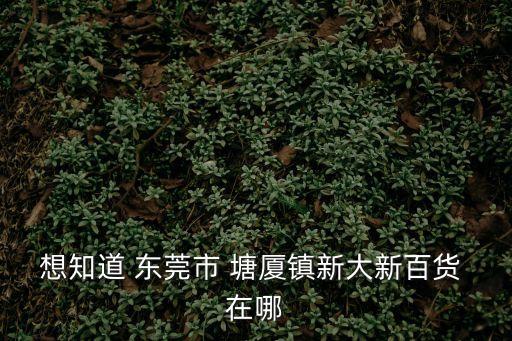 廣東東莞塘廈鎮大新，東莞塘廈新大新在哪里