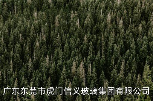 廣東東莞市虎門信義玻璃集團有限公司