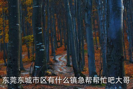 東莞東正上嶺是在東城區(qū)嗎，廣東的 東城 具體位置 在那里