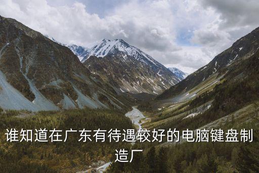誰知道在廣東有待遇較好的電腦鍵盤制造廠