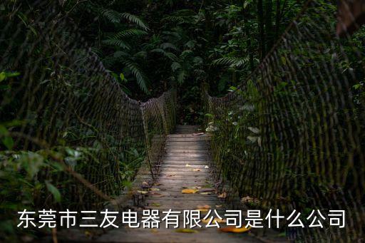 東莞市三友電器有限公司是什么公司