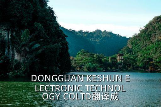 東莞科貝電子科技官網(wǎng)，東莞正欣科技地址東莞市南城區(qū)袁屋邊大道容大大廈十樓B8
