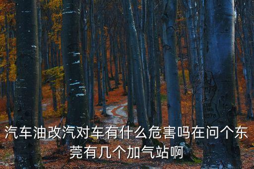 汽車油改汽對車有什么危害嗎在問個東莞有幾個加氣站啊
