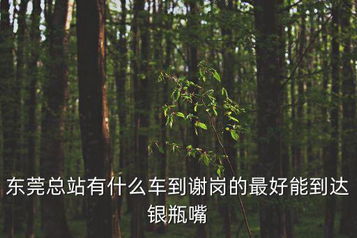 東莞總站有什么車到謝崗的最好能到達銀瓶嘴