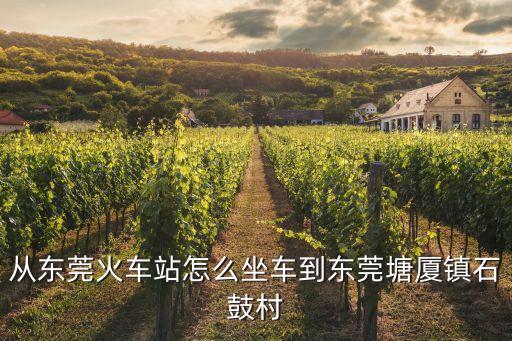 東莞厚街沙田塘廈石鼓村路線，從東莞火車站怎么坐車到東莞塘廈鎮石鼓村
