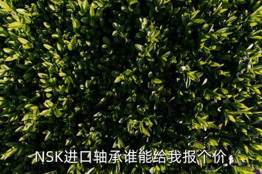 東莞恩斯凱軸承，誰有NSK進口軸承型錄