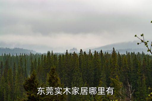 東莞實木家居哪里有