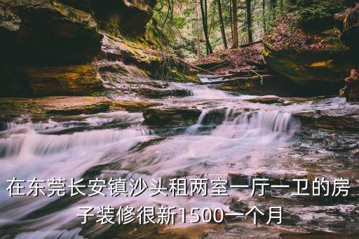 在東莞長安鎮沙頭租兩室一廳一衛的房子裝修很新1500一個月