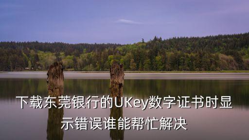 東莞銀行uk是什么，下載東莞銀行的UKey數字證書時顯示錯誤誰能幫忙解決