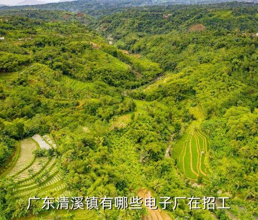東莞塘廈清溪有招工嗎，請(qǐng)問東莞清溪鎮(zhèn)哪個(gè)廠還在招男普工