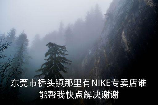 東莞市橋頭鎮那里有NIKE專賣店誰能幫我快點解決謝謝
