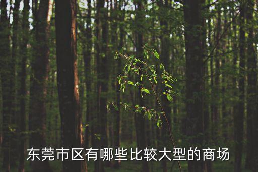 東莞大型的實景案例，東莞市區有哪些比較大型的商場