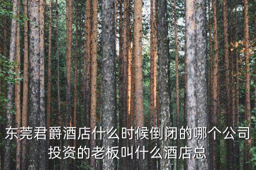 東莞君爵酒店什么時候倒閉的哪個公司投資的老板叫什么酒店總