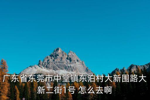 廣東省東莞市中堂鎮東泊村大新圍路大新二街1號 怎么去啊