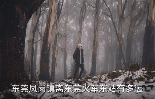 東莞鳳崗鎮離東莞哪個地鐵最近，東莞鳳崗附近那里有地鐵站