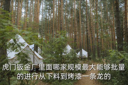 虎門鈑金廠里面哪家規(guī)模最大能夠批量的進行從下料到烤漆一條龍的