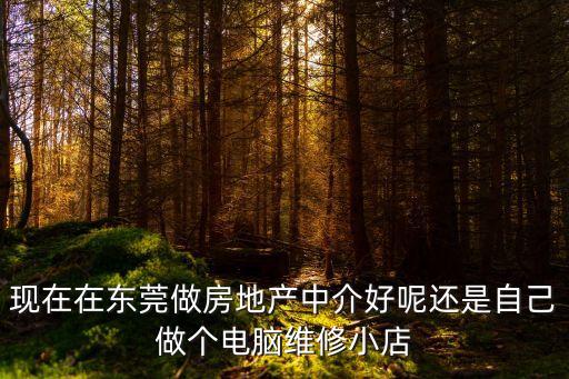 現在在東莞做房地產中介好呢還是自己做個電腦維修小店