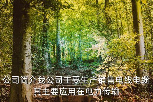 東莞盈業電線材料，電纜公司你相信哪個