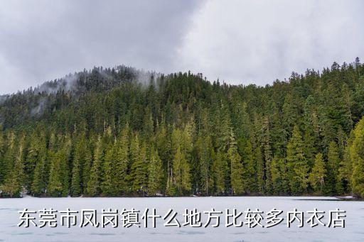 東莞市鳳崗鎮什么地方比較多內衣店