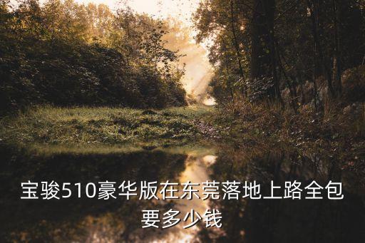 東莞市寶駿510，寶駿510能跑花小豬嗎