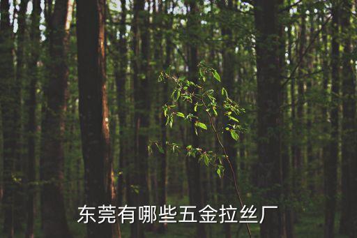 東莞有哪些五金拉絲廠(chǎng)