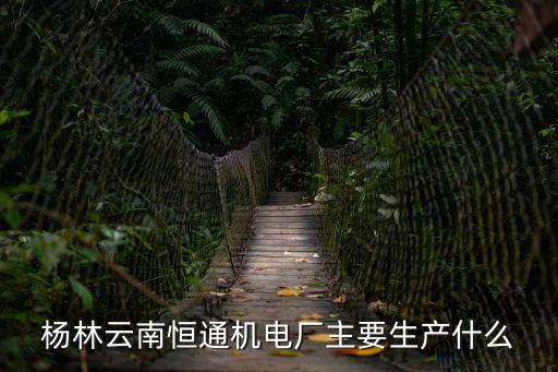 楊林云南恒通機(jī)電廠主要生產(chǎn)什么