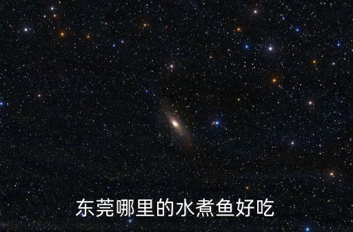 東莞南城聯益村水煮魚，南聯夜市附近或者龍城廣場那邊有哪家水煮魚好吃順便告訴下詳細