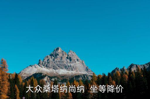 大眾桑塔納尚納  坐等降價