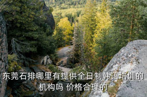 東莞石排哪里有提供全日制韓語培訓(xùn)的機(jī)構(gòu)嗎 價格合理的