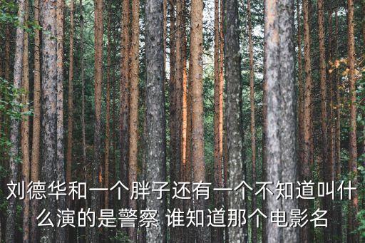 劉德華和一個胖子還有一個不知道叫什么演的是警察 誰知道那個電影名