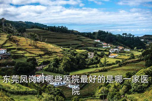 東莞鳳崗有哪些醫院最好的是哪一家醫院