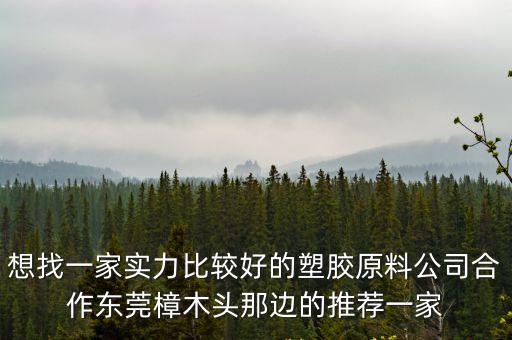 想找一家實力比較好的塑膠原料公司合作東莞樟木頭那邊的推薦一家