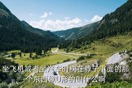 東莞u型充氣旅行枕頭包裝，坐飛機或者坐汽車時枕在脖子下面的那個東西像U形的叫什么啊