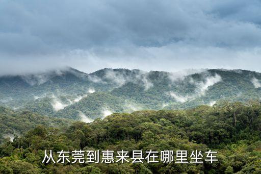 東莞到惠來(lái)縣溪西鎮(zhèn)，從東莞到惠來(lái)縣在哪里坐車(chē)