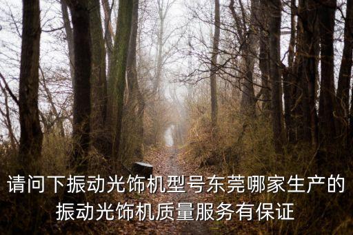請問下振動光飾機型號東莞哪家生產(chǎn)的振動光飾機質(zhì)量服務(wù)有保證