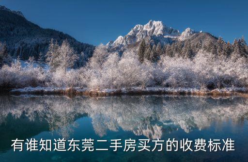 有誰知道東莞二手房買方的收費標準