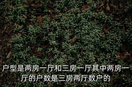戶型是兩房一廳和三房一廳其中兩房一廳的戶數是三房兩廳數戶的