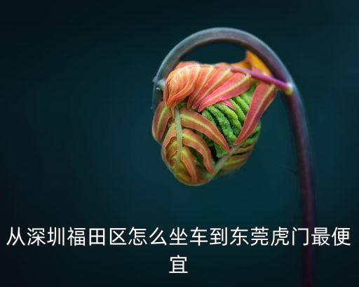 從深圳福田區(qū)怎么坐車到東莞虎門最便宜