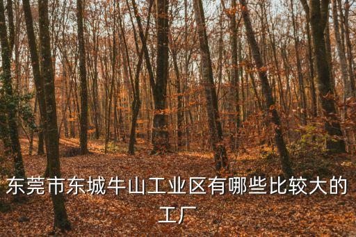 東莞市東城牛山工業區有哪些比較大的工廠