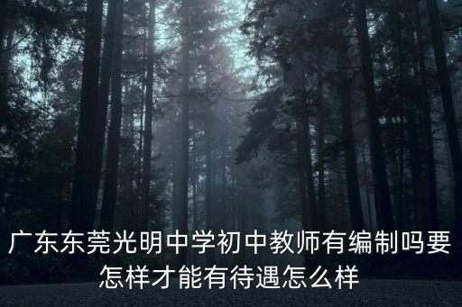 廣東東莞光明中學(xué)初中教師有編制嗎要怎樣才能有待遇怎么樣