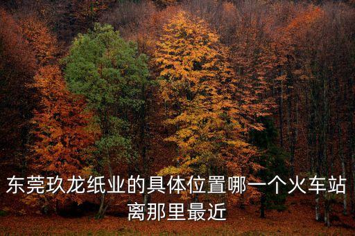玖龍紙業(yè)控股有限公司東莞基地，玖龍紙業(yè)的采購都是有東莞總公司負責的嗎